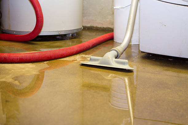 Best Carpet and Upholstery Water Damage Restoration in French Valley, CA